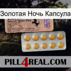 Золотая Ночь Капсула 41